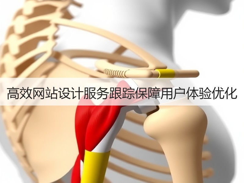 高效网站设计服务跟踪保障用户体验优化