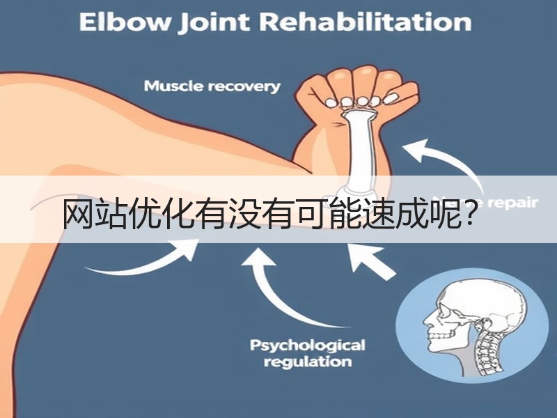 网站优化有没有可能速成呢？