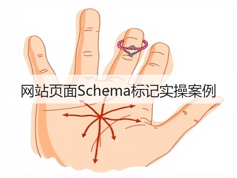 网站页面Schema标记实操案例