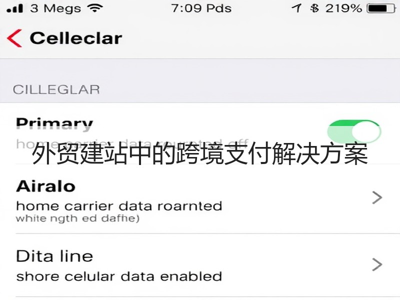 外贸建站中的跨境支付解决方案