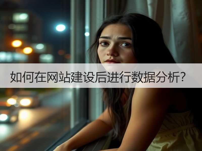 如何在网站建设后进行数据分析？