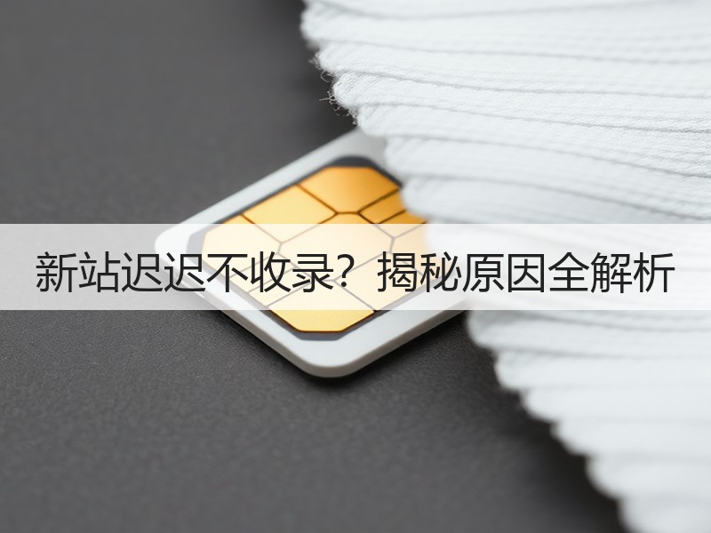 新站迟迟不收录？揭秘原因全解析