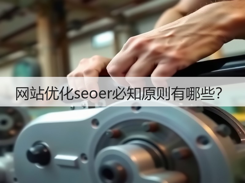 网站优化seoer必知原则有哪些？