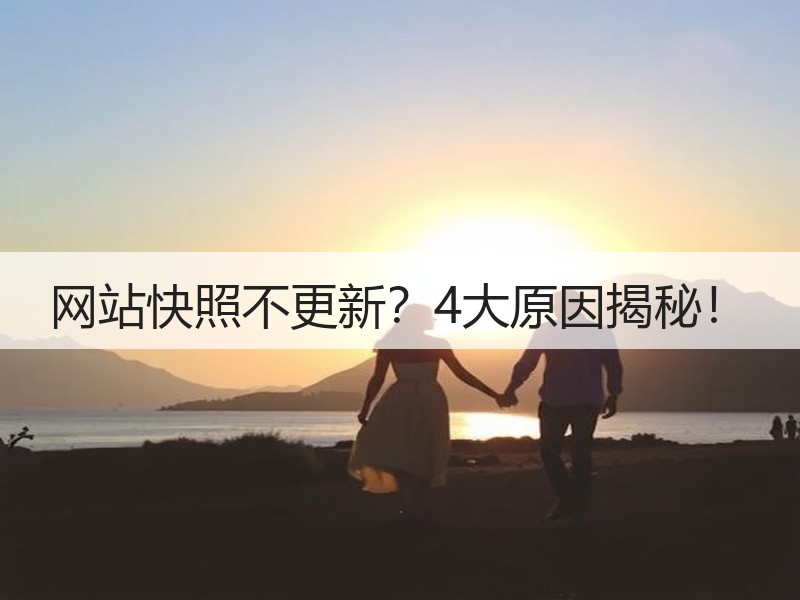 网站快照不更新？4大原因揭秘！