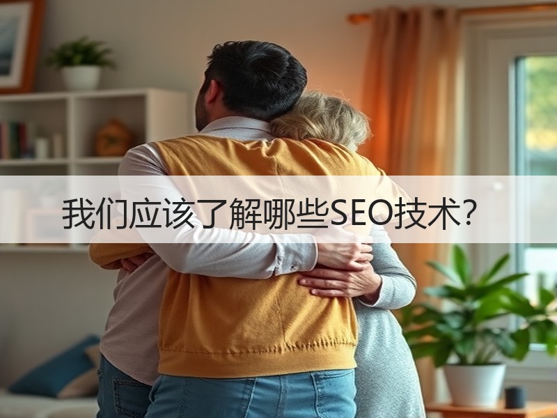 我们应该了解哪些SEO技术？