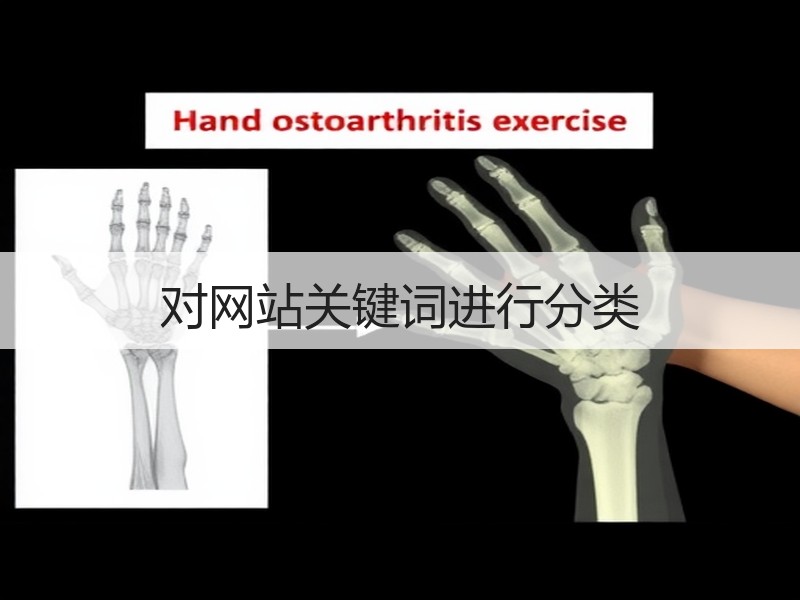 对网站关键词进行分类