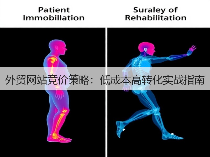 外贸网站竞价策略：低成本高转化实战指南