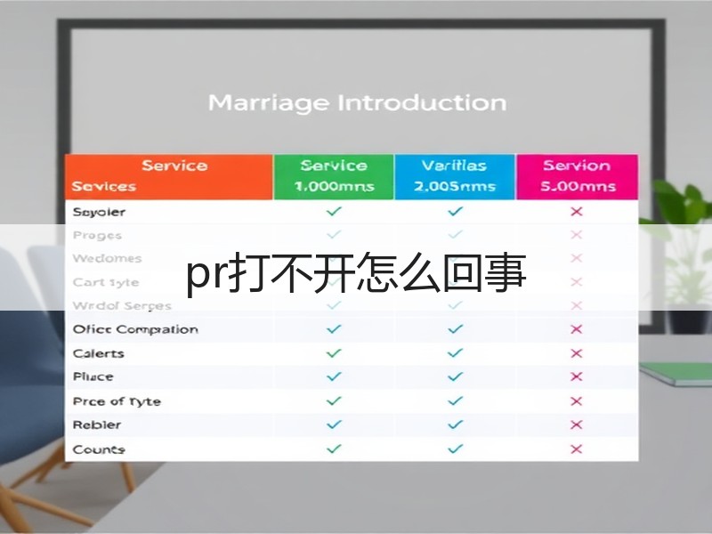 pr打不开怎么回事