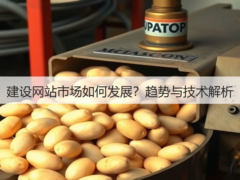 建设网站市场如何发展？趋势与技术解析