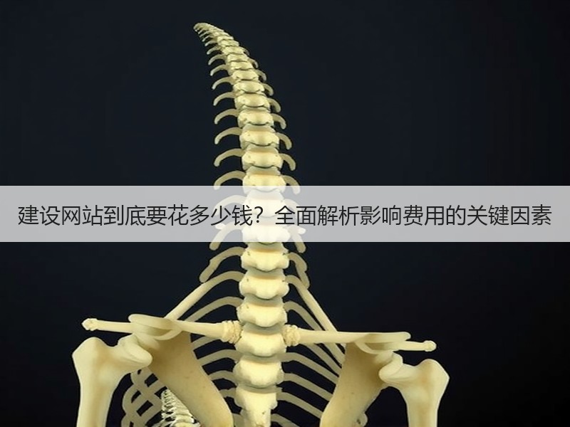 建设网站到底要花多少钱？全面解析影响费用的关键因素