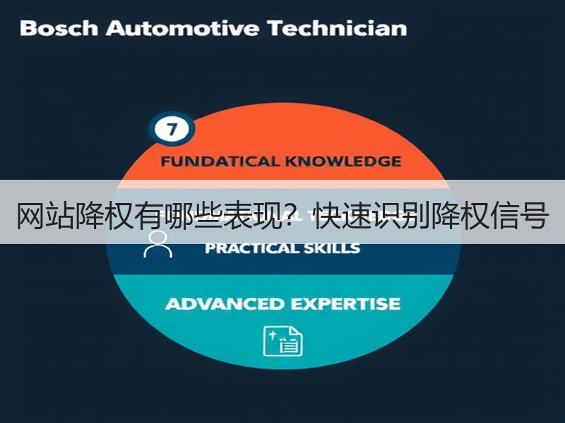 网站降权有哪些表现？快速识别降权信号