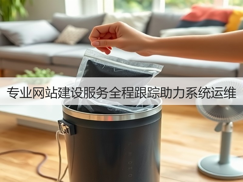 专业网站建设服务全程跟踪助力系统运维
