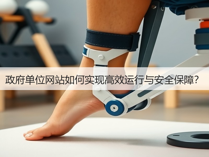 政府单位网站如何实现高效运行与安全保障？