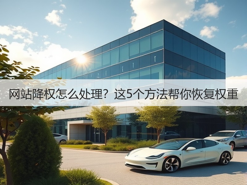 网站降权怎么处理？这5个方法帮你恢复权重