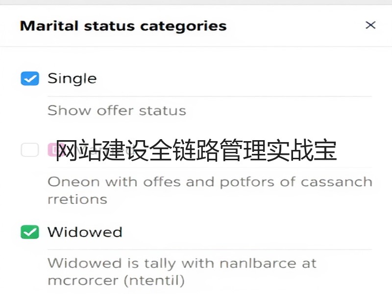 网站建设全链路管理实战宝