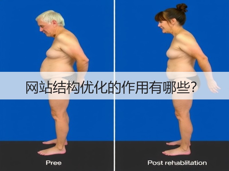 网站结构优化的作用有哪些？