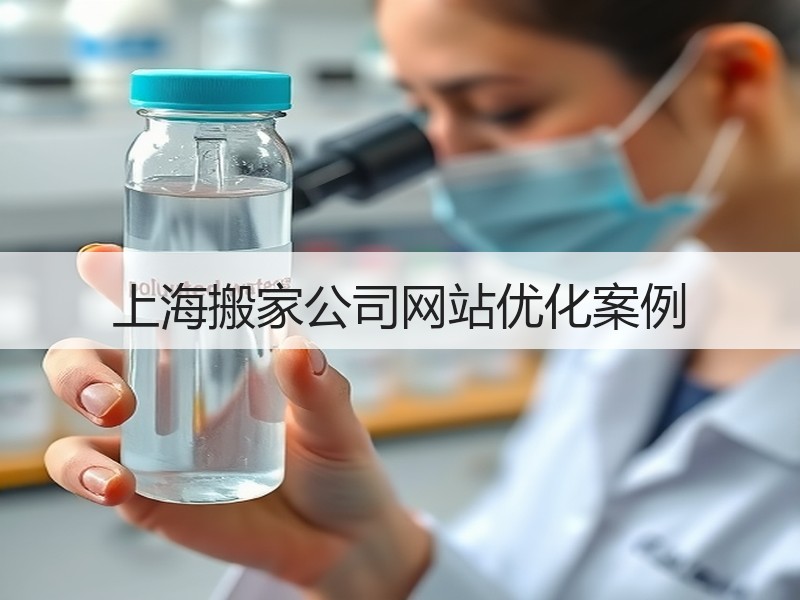 上海搬家公司网站优化案例