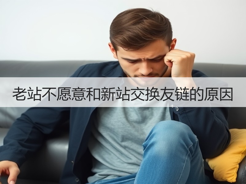 老站不愿意和新站交换友链的原因