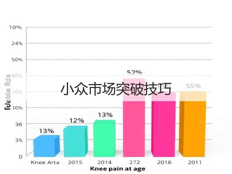 小众市场突破技巧