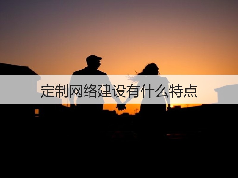 定制网络建设有什么特点