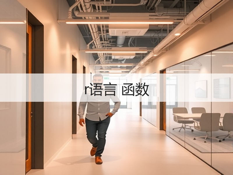 r语言 函数