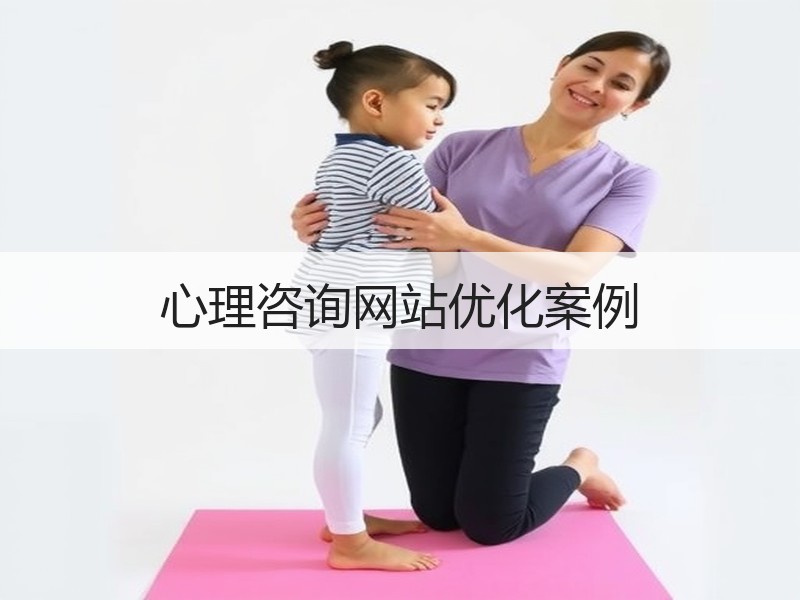 心理咨询网站优化案例