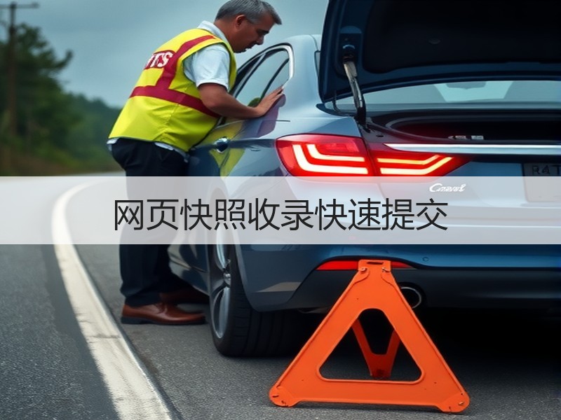 网页快照收录快速提交