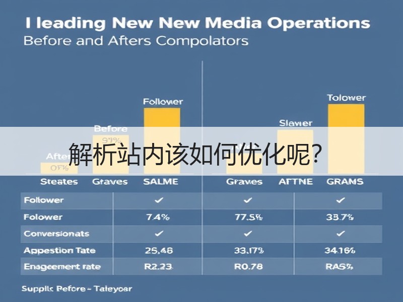 解析站内该如何优化呢？