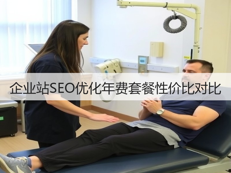 企业站SEO优化年费套餐性价比对比