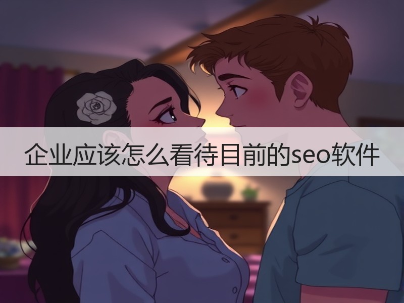 企业应该怎么看待目前的seo软件