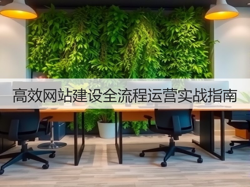 高效网站建设全流程运营实战指南