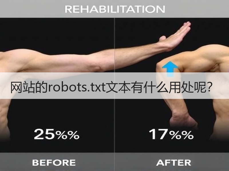 网站的robots.txt文本有什么用处呢？