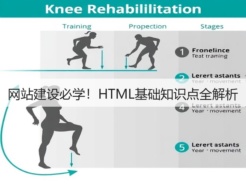 网站建设必学！HTML基础知识点全解析