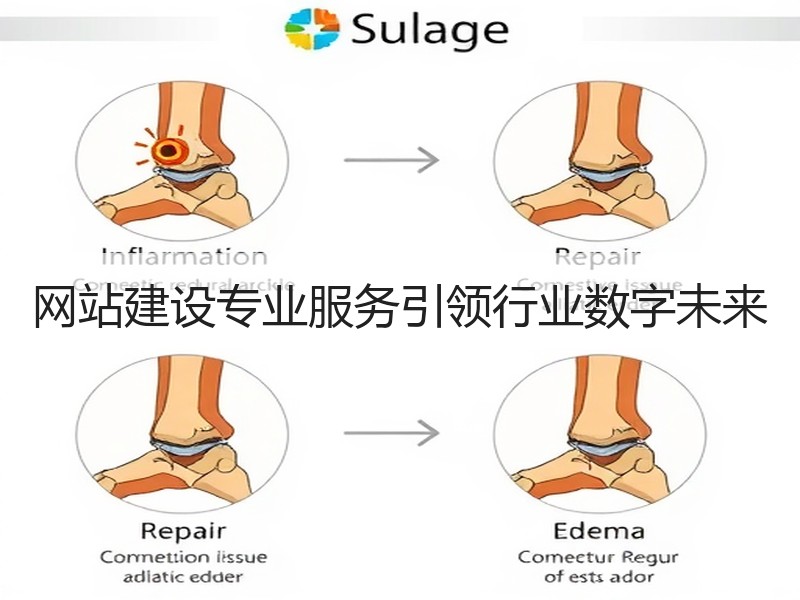 网站建设专业服务引领行业数字未来