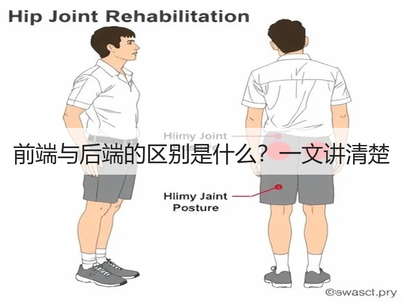 前端与后端的区别是什么？一文讲清楚
