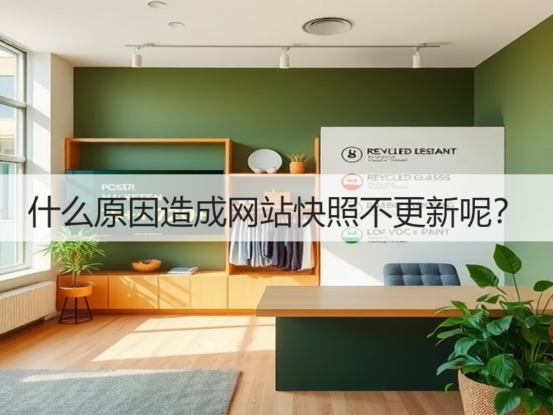 什么原因造成网站快照不更新呢？
