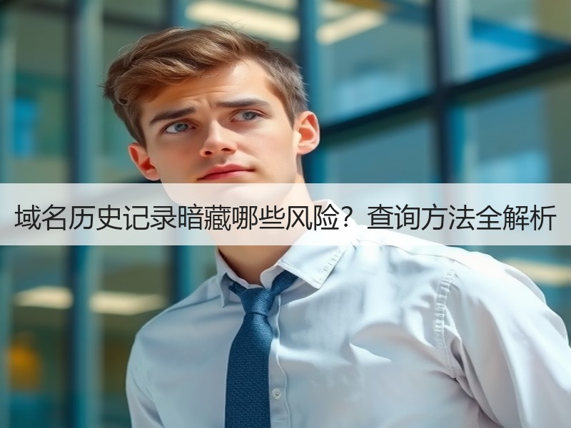 域名历史记录暗藏哪些风险？查询方法全解析