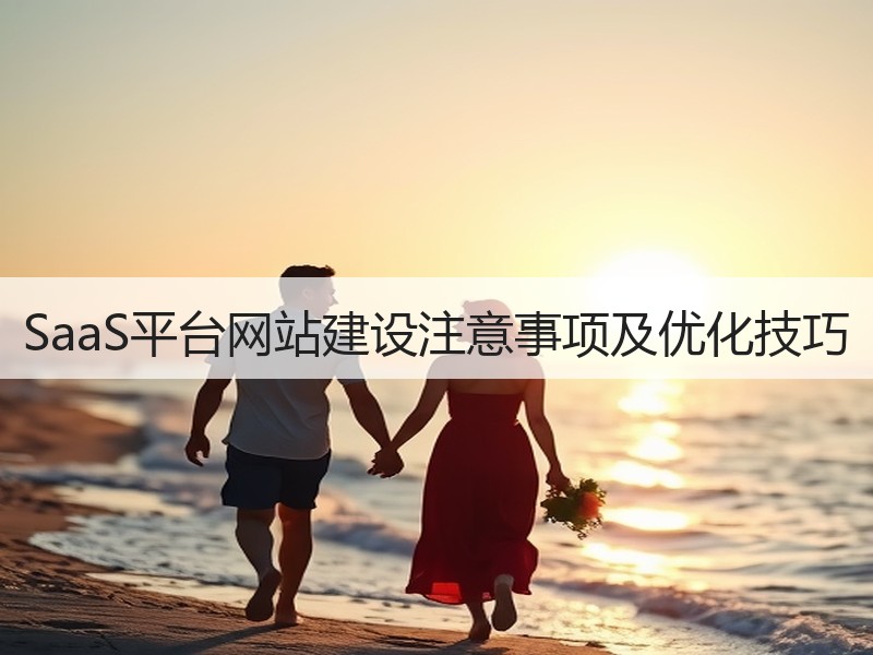 SaaS平台网站建设注意事项及优化技巧