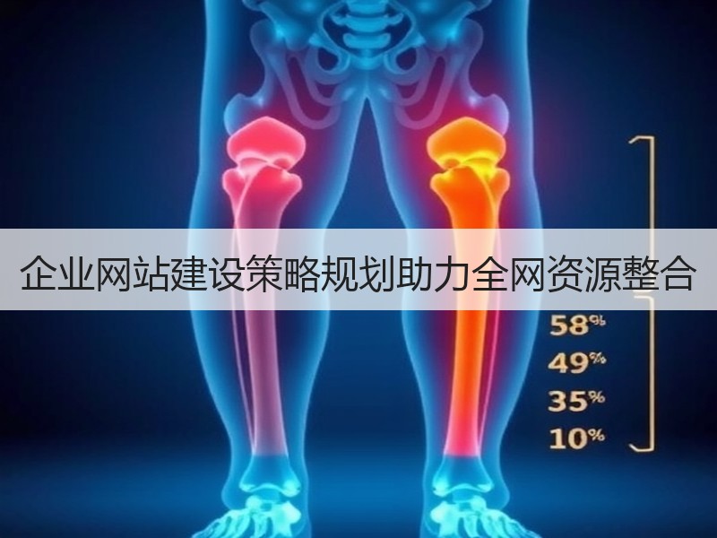 企业网站建设策略规划助力全网资源整合