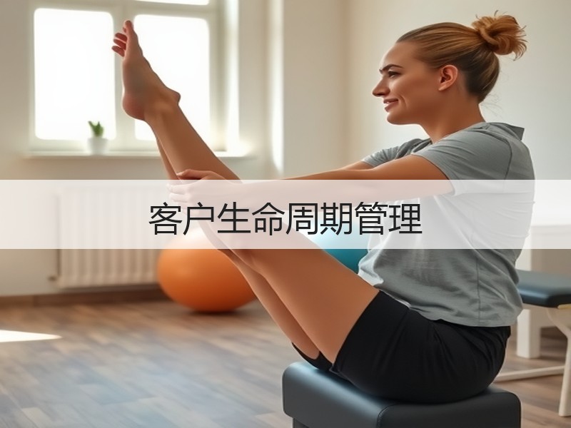 客户生命周期管理