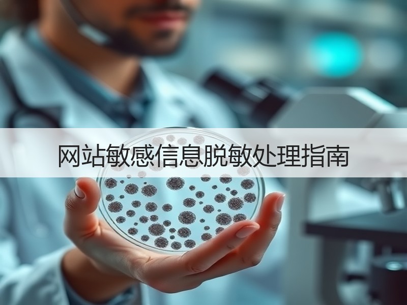 网站敏感信息脱敏处理指南