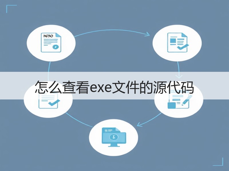 怎么查看exe文件的源代码