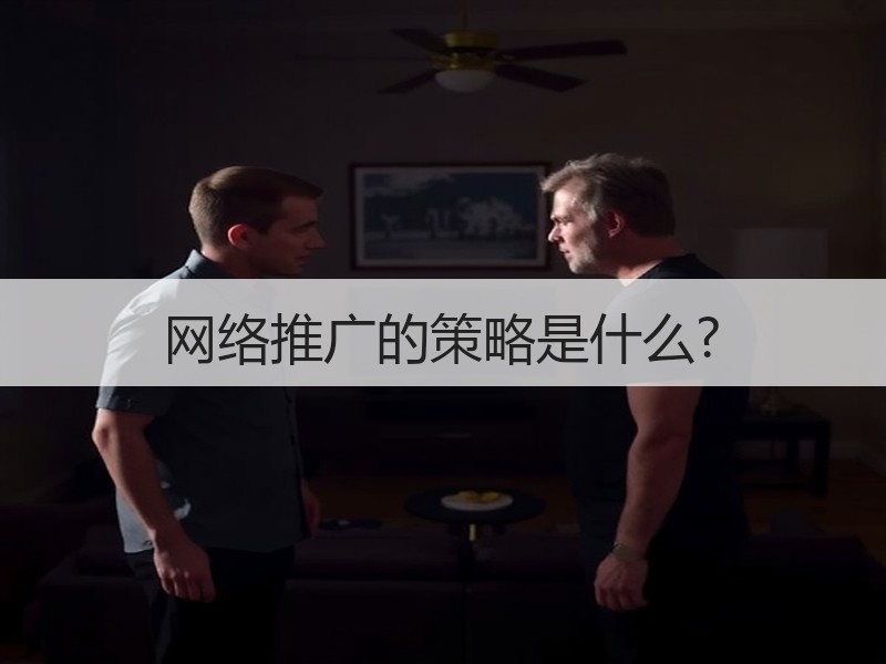 网络推广的策略是什么?
