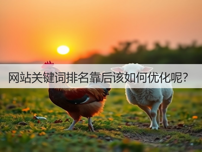 网站关键词排名靠后该如何优化呢？