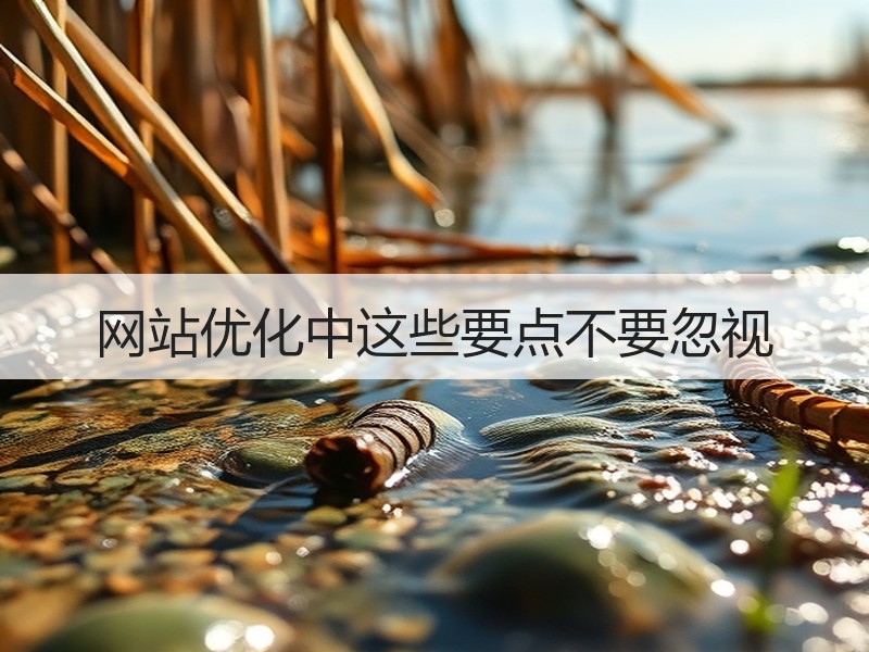 网站优化中这些要点不要忽视