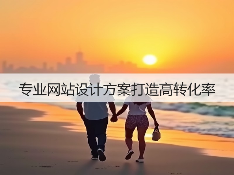 专业网站设计方案打造高转化率