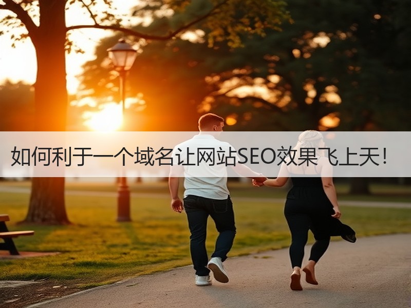 如何利于一个域名让网站SEO效果飞上天！