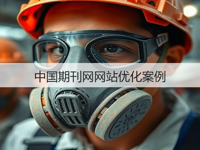 中国期刊网网站优化案例