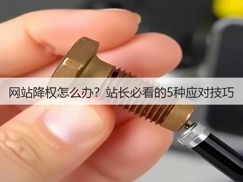 网站降权怎么办？站长必看的5种应对技巧
