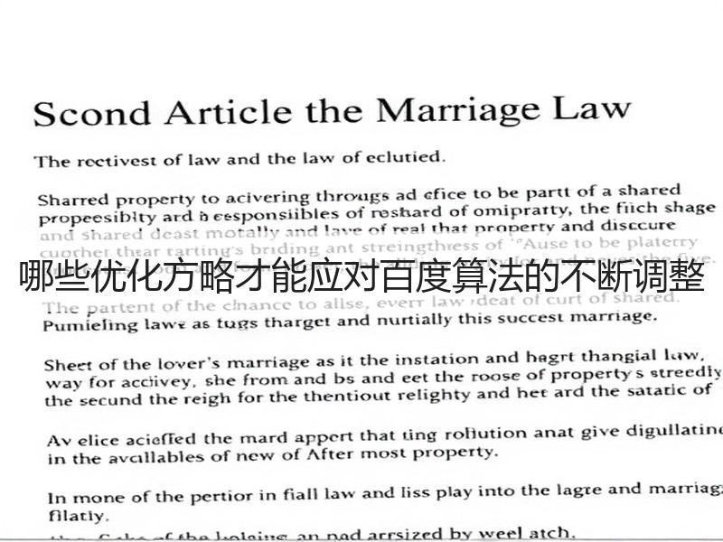 哪些优化方略才能应对百度算法的不断调整